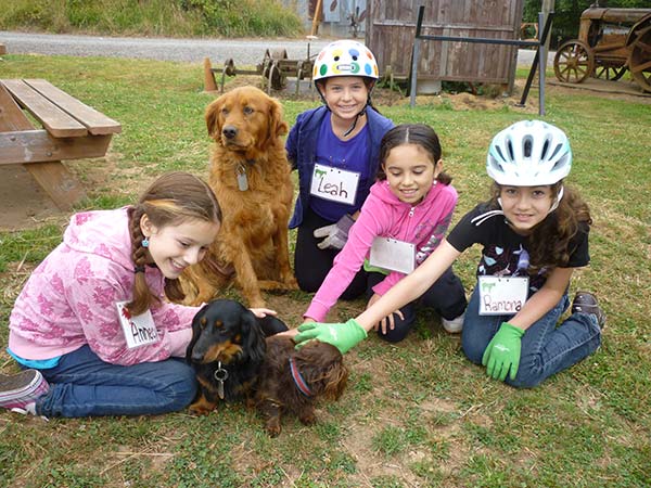 Children With Dogs at the Farm