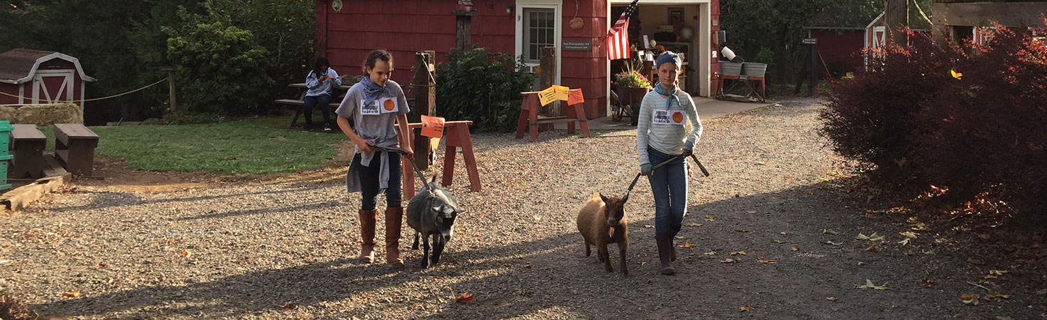 OMF Volunteers Leading Goats